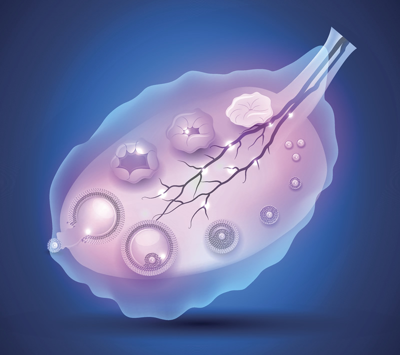 月经周期短来了还不走怎么回事,哪种检查能快速找出病因？
